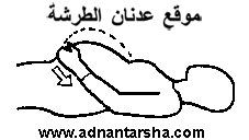 خليجية