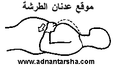 خليجية